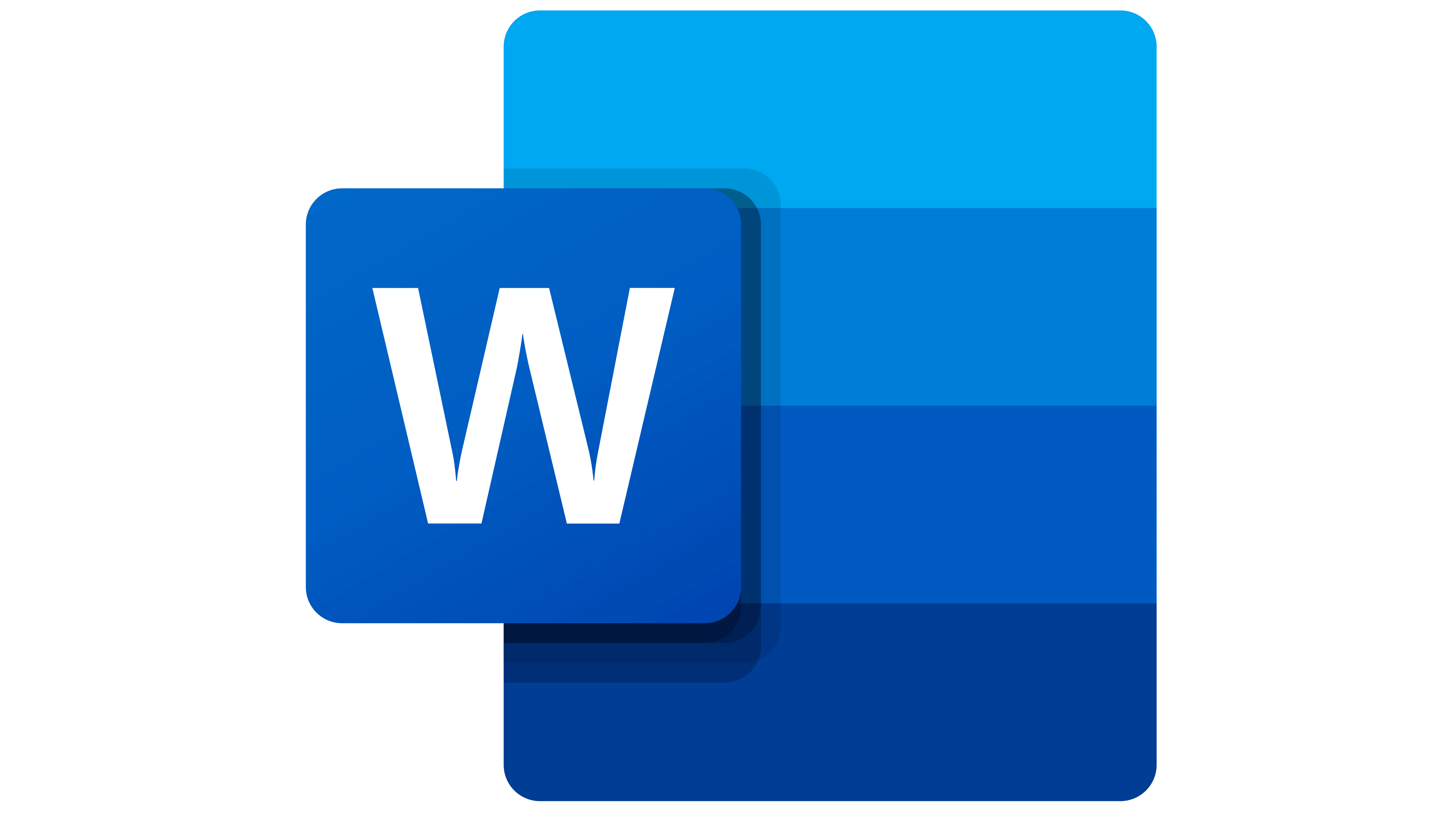 ms-word