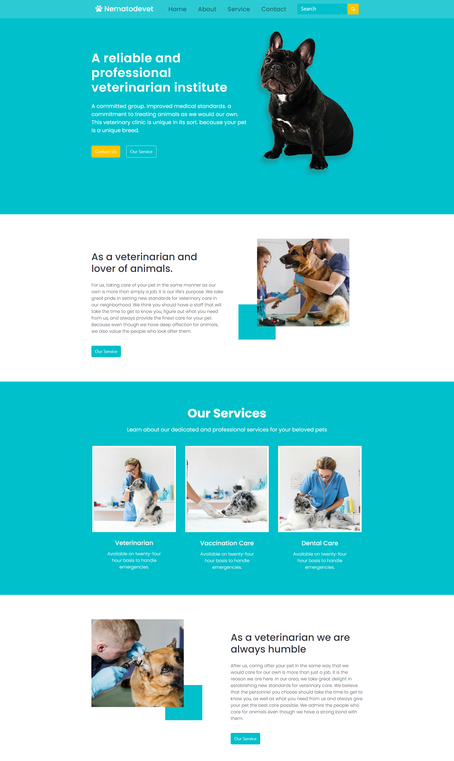 saifurbinkobir-portfolio